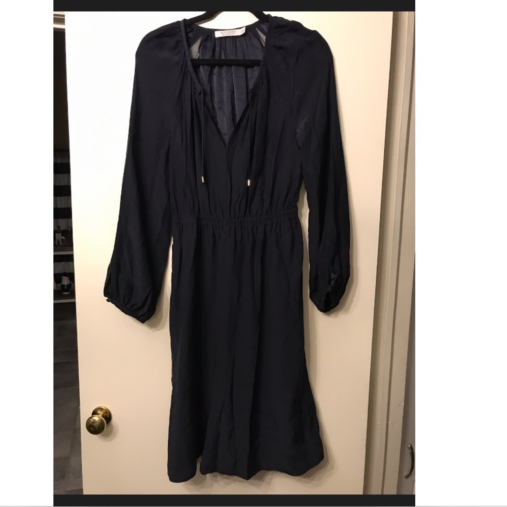 Altuzarra Navy Silk Dress with Chiffon Inserts